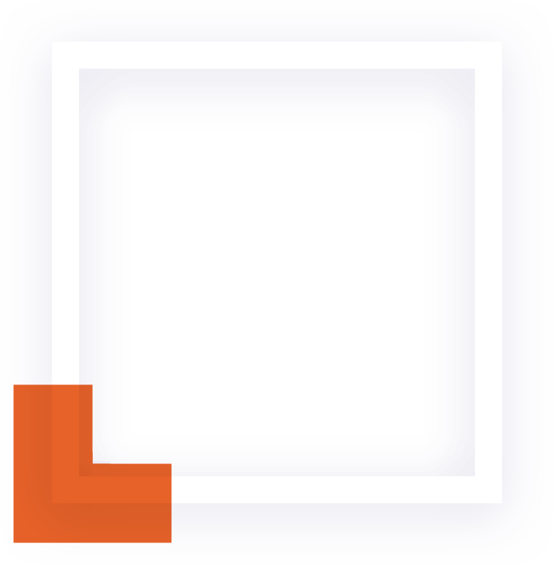 zurav-sibiu-recent-1